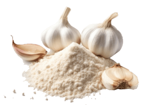 Garlic Powder in Ernakulam